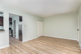 6612 S St Lawrence Ave in Chicago, IL - Building Photo - Building Photo