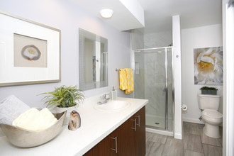 Latitude 33 in Palm Springs, CA - Building Photo - Interior Photo