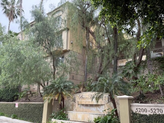 5260 Premiere Hls Dr in Los Angeles, CA - Foto de edificio - Building Photo