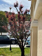 1013 Ridgeview Dr in El Sobrante, CA - Building Photo - Building Photo