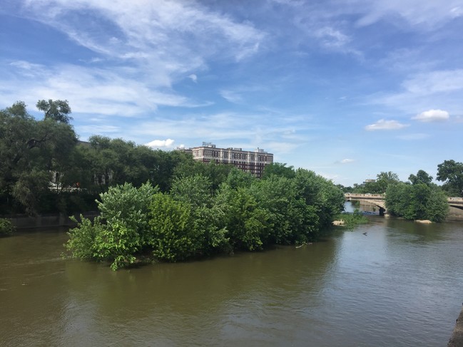 45 W Fall Creek Pkwy S Dr, Unit FC04 in Indianapolis, IN - Foto de edificio - Building Photo
