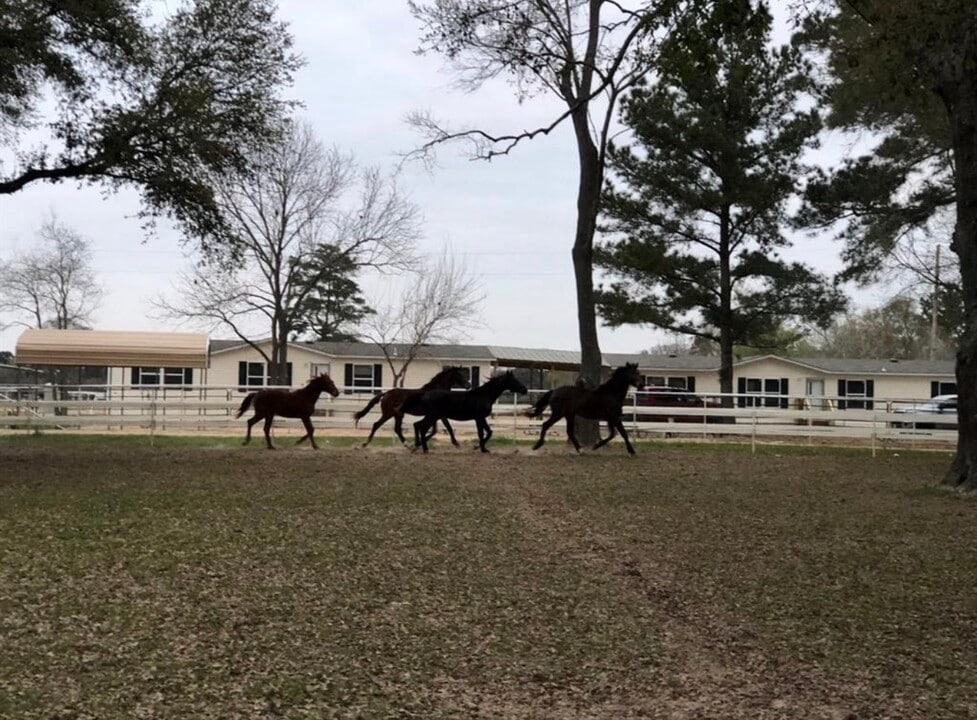 26427 Dobbin-Huffsmith Rd in Magnolia, TX - Building Photo