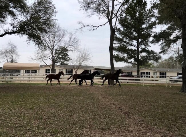 property at 26427 Dobbin-Huffsmith Rd