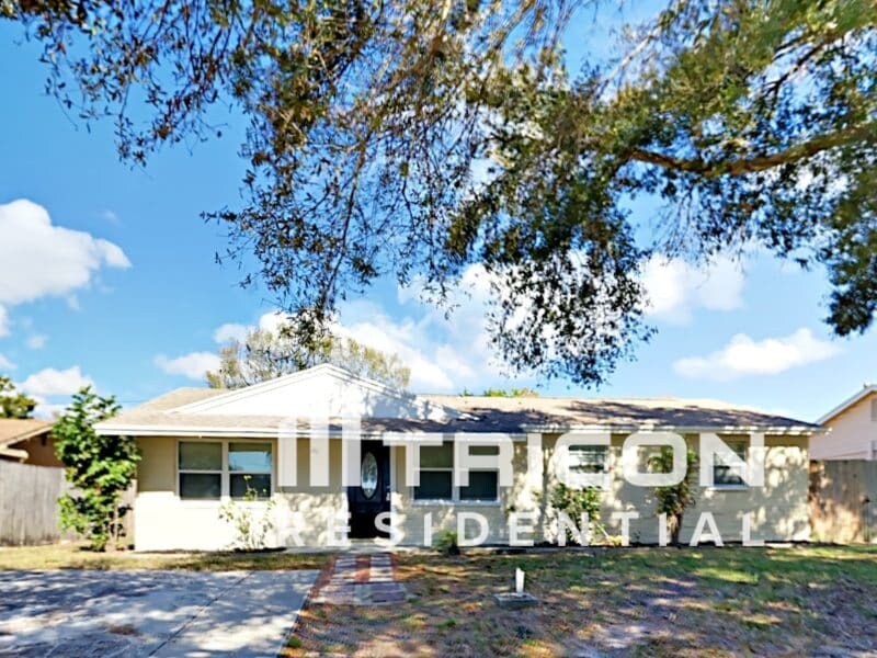 8495 91st Terrace in Seminole, FL - Building Photo