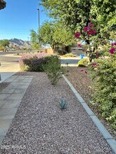 2992 E Ravenswood Dr in Gilbert, AZ - Building Photo - Building Photo