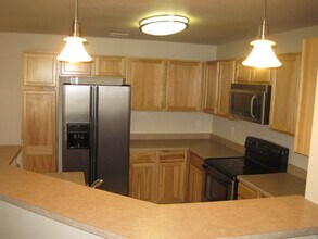 555 Cougar Bluff Point in Colorado Springs, CO - Building Photo - Building Photo