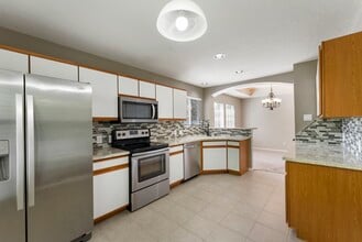 17 N Spiral Vine Cir in The Woodlands, TX - Building Photo - Building Photo