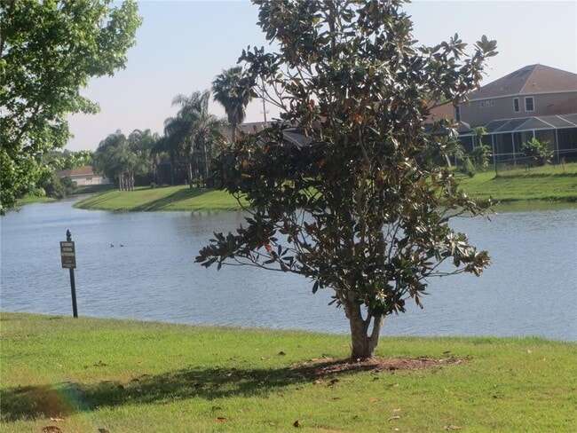6925 Towering Spruce Dr in Riverview, FL - Building Photo - Building Photo