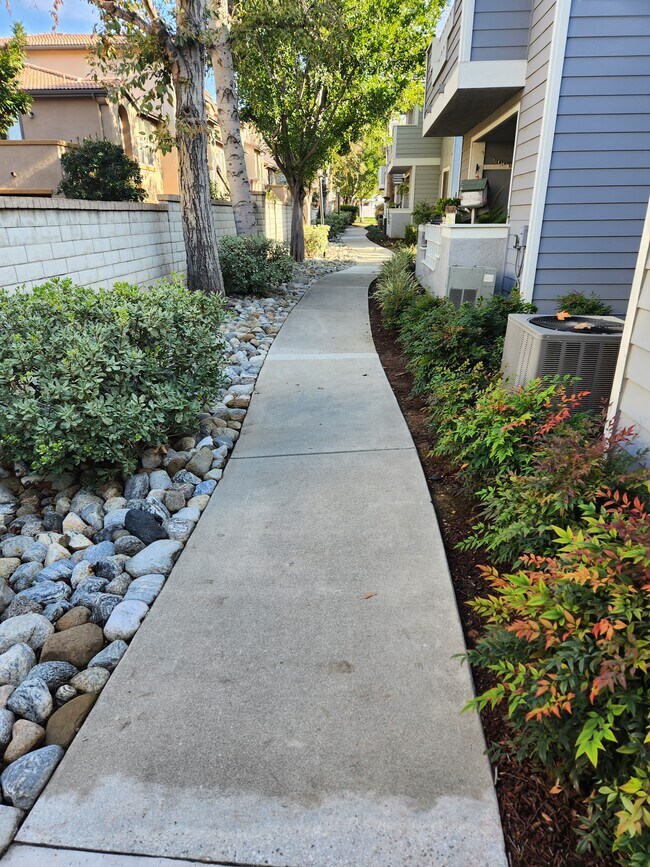 6686 Laurelton Ln Rentals in Chino Hills, CA