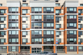 Loreto I & II Apartments in Brooklyn, NY - Building Photo - Building Photo