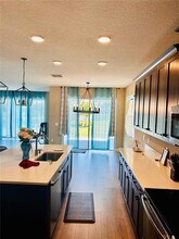 33234 Sycamore Leaf Dr in Wesley Chapel, FL - Building Photo - Building Photo