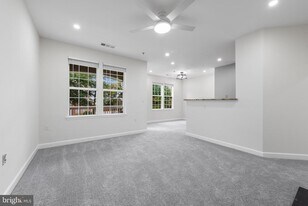 22668 Blue Elder Terrace in Brambleton, VA - Building Photo