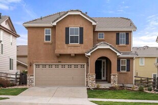 815 Fire Rock Pl in Colorado Springs, CO - Building Photo