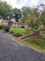 12809 E Shelby Ln, Unit Studio Basement Unit- in Brandywine, MD - Building Photo