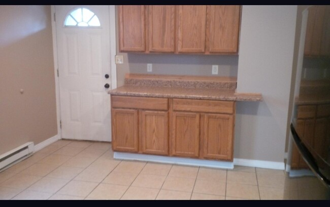 103 W Chestnut St in Wilkes-Barre, PA - Building Photo - Building Photo