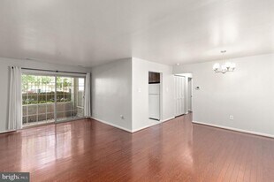 203 Star Pointe Ct in Abingdon, MD - Building Photo