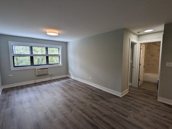 456 W Barry Ave, Unit 445-308 in Chicago, IL - Building Photo - Building Photo