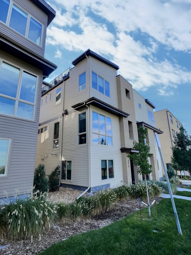 4616 W 50th Pl in Denver, CO - Building Photo - Building Photo