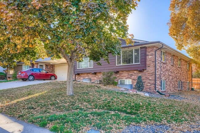 3695 Lewis St in Wheat Ridge, CO - Building Photo - Building Photo