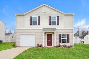 207 Pleasant Willow Pl in Greensboro, NC - Building Photo