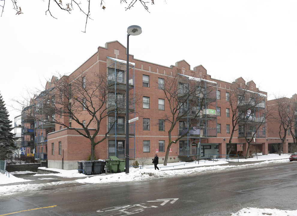 3441 E du Mont-Royal E in Montréal, QC - Building Photo