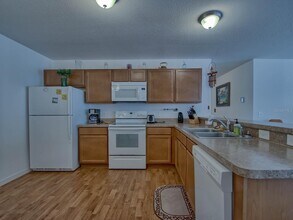 1445 Olympia St in the Villages, FL - Building Photo - Building Photo