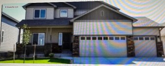 1661 Northcroft Dr in Windsor, CO - Building Photo