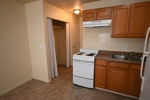 3021 E Carey Ave in North Las Vegas, NV - Building Photo