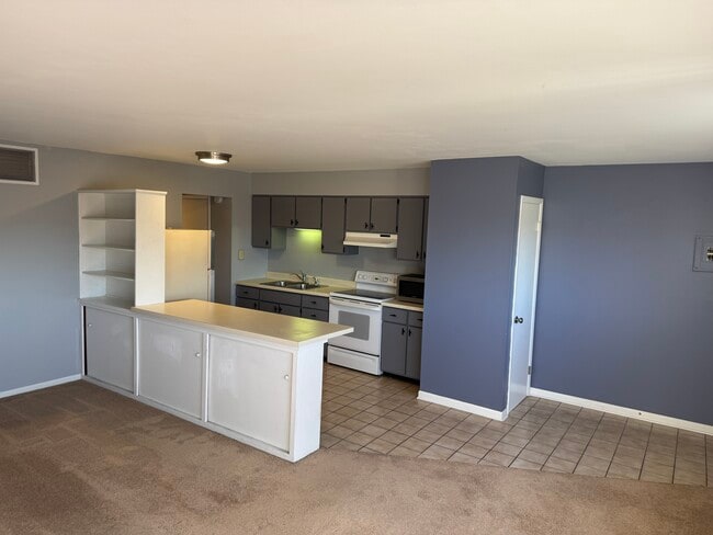 10 Main St, Unit 3 Apartment in Oswego, IL - Building Photo - Building Photo