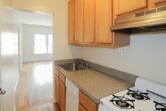 3915 N Pine Grove Ave, Unit 3W in Chicago, IL - Building Photo - Building Photo