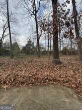 3821 River Rd in Ellenwood, GA - Building Photo - Building Photo