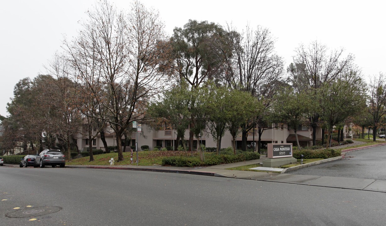 Casa Montego Apartments in Walnut Creek, CA - Building Photo