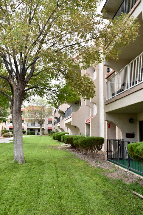 White Acres in El Paso, TX - Foto de edificio
