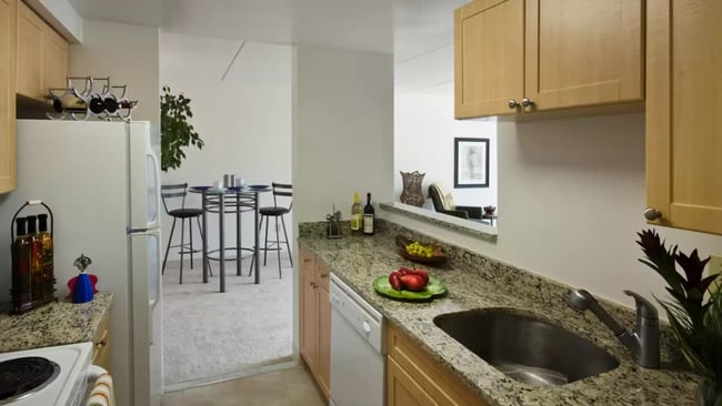 13 Magazine St, Unit 807B