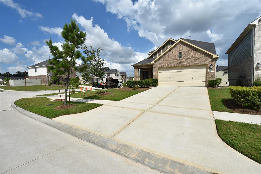 17681 Tree of Heaven in Shenandoah, TX - Building Photo