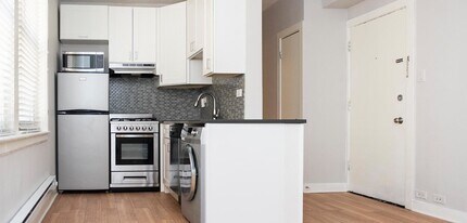 511 W Belmont Ave in Chicago, IL - Building Photo - Building Photo