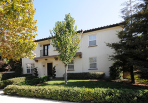 Creek Bridge Apartments