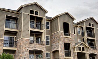 2875 Blue Sky Cir in Erie, CO - Building Photo