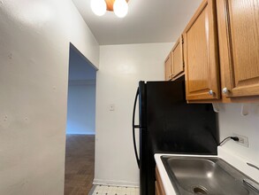 4180 N Marine Dr in Chicago, IL - Building Photo - Building Photo