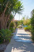 Lacy Studios & Townhouse Lofts in Los Angeles, CA - Building Photo - Building Photo