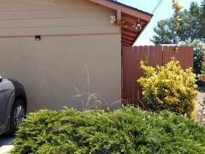 5345 Northridge Ave in San Diego, CA - Building Photo - Building Photo
