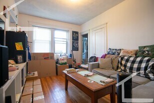 109 Brainerd Rd in Boston, MA - Building Photo