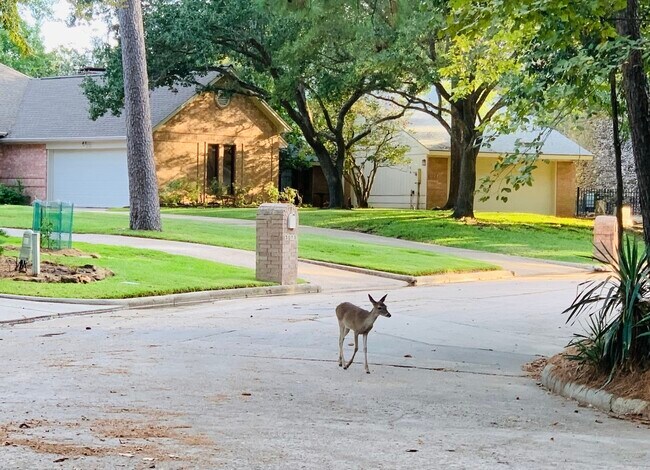 property at 3007 Willowbend Rd