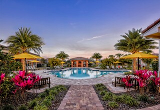 Vernazza in Kissimmee, FL - Building Photo - Building Photo