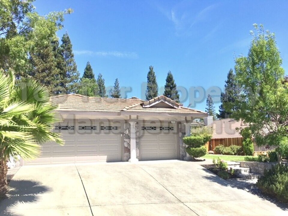319 Deepcreek Ct in Blackhawk, CA - Building Photo