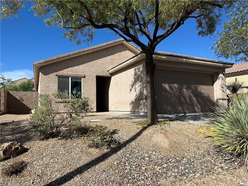 2676 Dirleton Pl in Henderson, NV - Building Photo