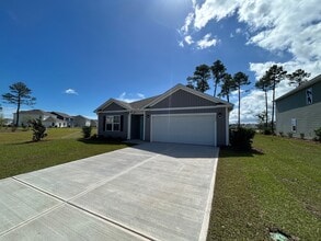 1237 Pampas Grass Dr in Castle Hayne, NC - Building Photo - Building Photo