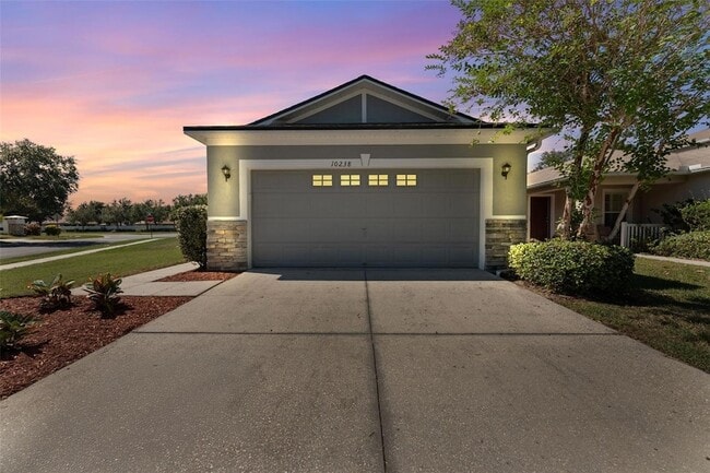 10238 Perthshire Cir in Land O Lakes, FL - Building Photo - Building Photo