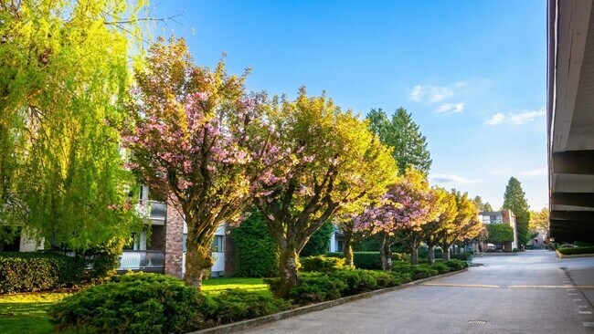 Cedar Lodge Apartments in Surrey, BC - Building Photo - Building Photo