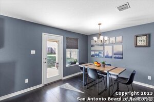 703 Anthem Ln in New Braunfels, TX - Building Photo - Building Photo